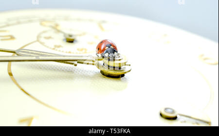Ladybug on an old clock surface., time concept Stock Photo