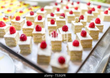 Close up of raspberrys on cream cakes or sweet dessert slices on a luxury gourmet buffet. Stock Photo
