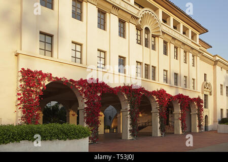 Caltech campus series, Beckman Institute and red flowering vine on the arches