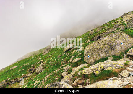 hiking uphill in the fog. huge rocks on a grassy slope. spooky nature scenery. moody weather condition. extreme tourism concept Stock Photo