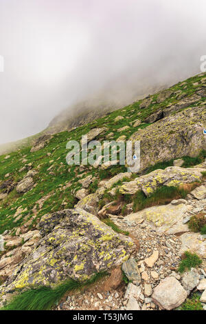 hiking uphill in the fog. huge rocks on a grassy slope. spooky nature scenery. moody weather condition. extreme tourism concept Stock Photo