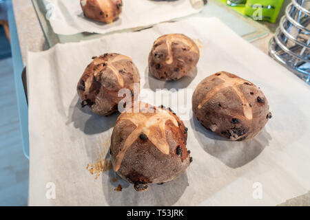 Home made hot cross buns on a baking sheet. Stock Photo