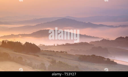 Beautiful foggy Tuscany hill Landscape near Florence on a sunny Morning in august, Italy Stock Photo