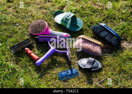 Higham, Kent. UK. A horse grooming kit laid out on the grass in the sun. Stock Photo