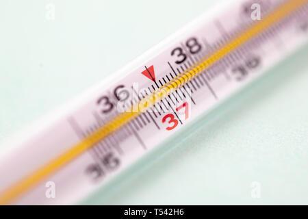 mercury thermometer isolated on white background, focus on 37 degree, medical tools Stock Photo