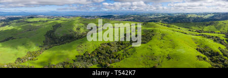 Morning light illuminates the hills surrounding San Francisco Bay. A wet winter has caused lush vegetation growth in the East Bay hills near Oakland. Stock Photo