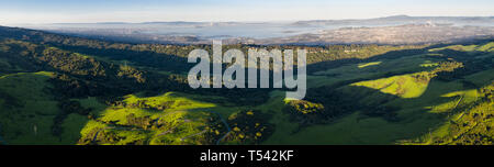 Morning light illuminates the hills surrounding San Francisco Bay. A wet winter has caused lush vegetation growth in the East Bay hills near Oakland. Stock Photo