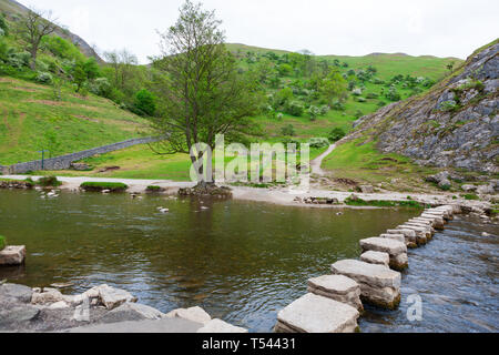 Dovedale Stepping Stones across River Dove, Peak District National Park, Derbyshire, England Stock Photo