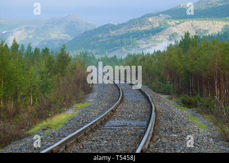 August morning on the Vorkuta-Labytnangi railway. Polar Ural, Russia Stock Photo