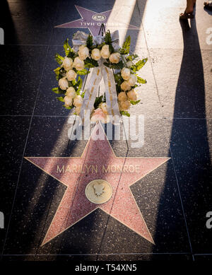 Marilyn Monroe star, with late afternoon long shadows, on the Hollywood Boulevard Walk of Fame in Los Angeles, California. Stock Photo