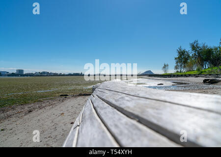 Cracked lines in selective focus on old dry log on beach at Matapihi with landmark Mount Maunganui on distant horizon Stock Photo