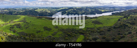 A beautiful morning lights the green hills around the San Pablo Reservoir in Northern California. A wet winter has caused lush vegetation growth. Stock Photo