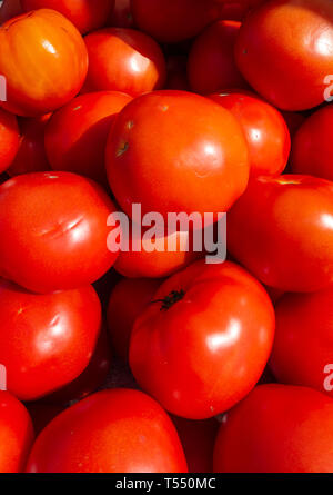 Bright red Florida tomatoes at a fruit and vegetable stand on a Saturday morning farmers market in Fort Pierce Florida. Stock Photo