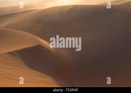 UAE, Abu Dhabi Province, Liwa Oasis, Rub Al Khali desert (Empty Quarter) Stock Photo