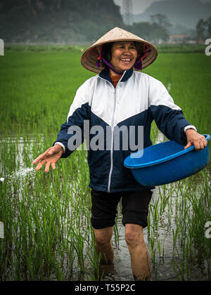 Vietnamese rice cheap farmer hat