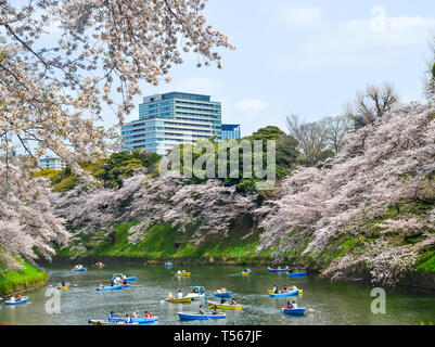 Tokyo, Japan - Apr 7, 2019. People enjoy cherry blossoms from rowing boats at Chidorigafuchi Park in Tokyo, Japan. Stock Photo