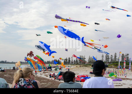 Semaphore, South Australia, Australia - April 20, 2019: Spectators watching the kites flying at the Adelaide International Kite Festival 2019 Stock Photo