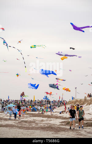 Semaphore, South Australia, Australia - April 20, 2019: Kites Flying and crowds at the Adelaide International Kite Festival 2019 Stock Photo