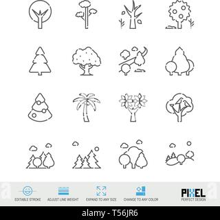 Vector Line Icon Set. Trees Related Linear Icons. Forest Symbols, Pictograms, Signs. Pixel Perfect Design. Editable Stroke. Adjust Line Weight. Stock Vector