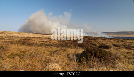 Marsden Moor Estate, Huddersfield, UK. 22nd April, 2019. Moorland fire near Wicking Green on  Close Moss, one of a series of unseasonal fires due to warm dry spring weather. Credit: M Kyle/Alamy Live News Stock Photo