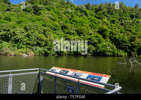 Lower Karori Reservoir in Zealandia, a  conservation project and attraction is the world's first fully-fenced urban ecosanctuary of 225 HA, Wellington Stock Photo