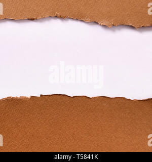Torn brown paper strip white background Stock Photo