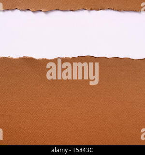 Torn brown paper strip top edge header background frame Stock Photo