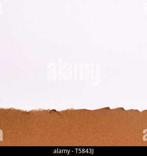 Torn brown paper border white background Stock Photo