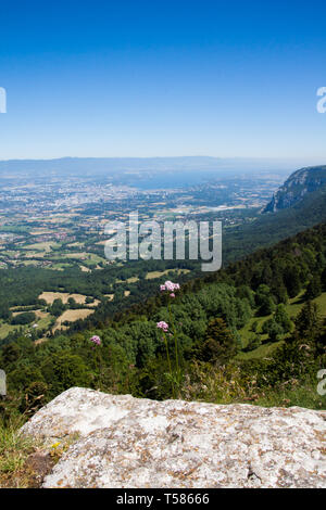 Altitude Panorama over Lake Leman and French  Haute Savoie Valley on a Sunny Summer Day Stock Photo