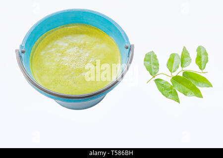 Bamboo grass ,Tiliacora triandra ,Menispermaceae ,leaf Juice in the container and Bamboo grass leaves with the white background. Stock Photo