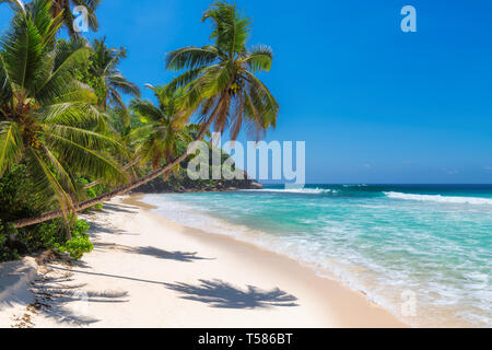 Sunny beach with palm trees and turquoise sea in Jamaica Caribbean island. Stock Photo