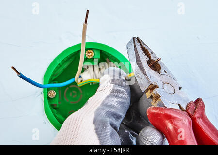 Electrician in protective gloves is cutting ends of copper wiring of round outlet box for wall light with hand tool. Stock Photo