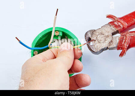 Electrician is installing green round electrical box for wall light switch with help of cutting pliers, electrical installation. Stock Photo