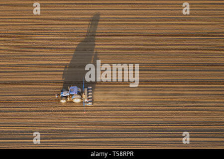 Top aerial view of a tractor working the field. Agricultural landscape from above with tractor tracks and dust, sunlit by the evening sun in spring. Stock Photo