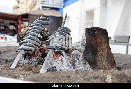 skewers of sardines pricked over grilled earth Stock Photo