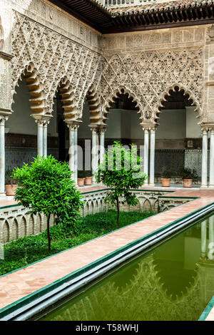 Interior patio, Real Alcazar de Sevilla (Royal Palace of Seville), Seville, Spain Stock Photo