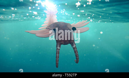 Anomalocaris, creature of the Cambrian period (3d science illustration) Stock Photo