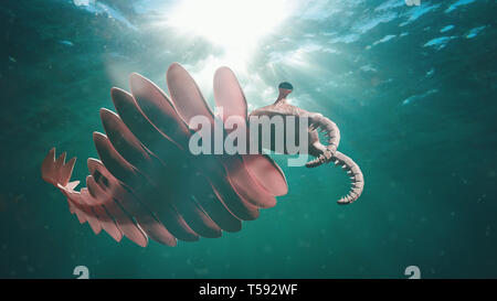Anomalocaris, life form of the Cambrian period (3d science illustration) Stock Photo