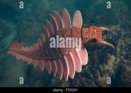 Anomalocaris, prehistoric creature of the Cambrian period (3d science rendering) Stock Photo