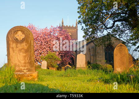 A blossoming churchyard at St Mary''s Church in Swillington,Leeds. Stock Photo