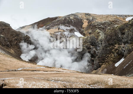 Near Hveragerði, Iceland. Steam rising from geothermal hot springs in the Reykjadalur valley Stock Photo