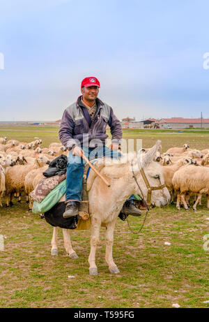 Konya, Turkey-April 14 2019: Sheepman with hat riding white donkey in front of sheep herd on grass Stock Photo