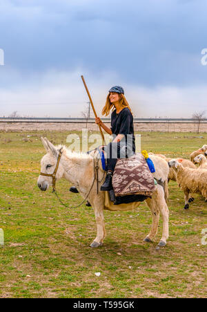 Konya, Turkey-April 14 2019: Shepherdesses with hat riding white donkey in front of sheep herd on grass Stock Photo