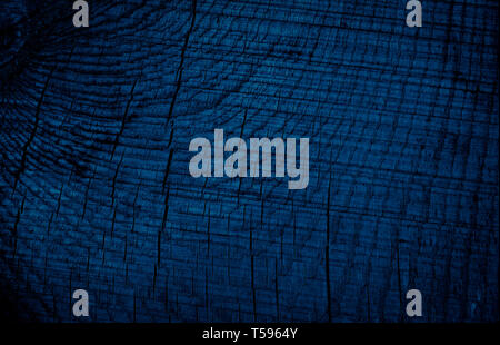Texture Navy blue of old rough wood. Abstract background for design. Vintage retro Stock Photo