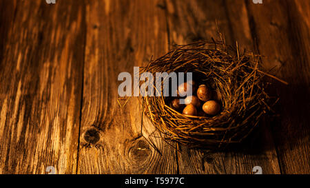 Carefully positioned on a backdrop of weathered wooden slats, the delicate nest holding small, abandoned Flycatcher eggs becomes both a visual focal p Stock Photo