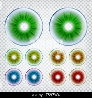 Medical Stylish Contact Optical Lenses Set Vector Stock Vector