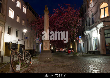Monument in Heerstreet, Bonn, Germany, at cherry blossoms Stock Photo