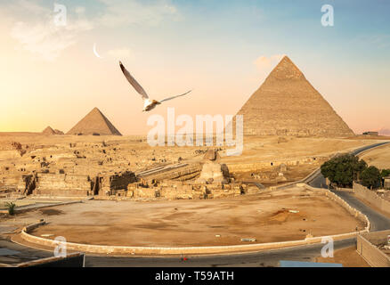 Pyramids of Giza and the Great Sphinx, Egypt Stock Photo