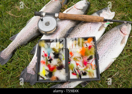 Hardy fishing rod hi-res stock photography and images - Page 2