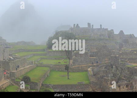 machu picchu covered in morning fog, peru Stock Photo